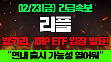 0223금 긴급속보 리플 발키리 Xrp Etf 입장 발표 연내 출시 가능성 열어둬 리플코인대응 리플호재 리플