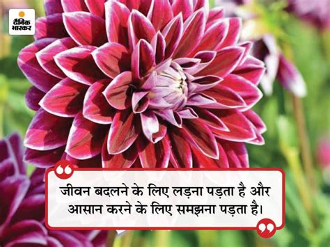 Quotes For Success In Hindi Quotes For Sharing Motivational Tips In