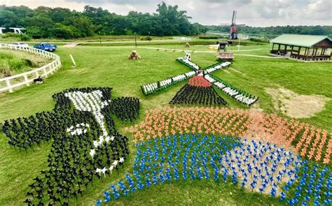 2023台南德元埤荷蘭村風車節929登場！4大必拍藝術造景搶先看 旅遊 Newtalk新聞