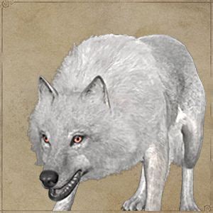 The White Wolf In Hogwarts Legacy