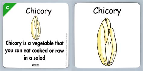 Chicory C Atlas Editions Play Learn Flash Card