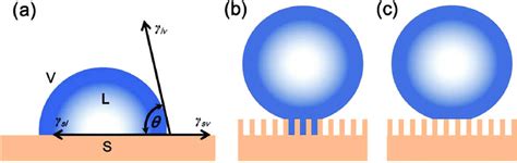 Typical Wetting Behavior Of A Droplet On Rough Solid Substrates A