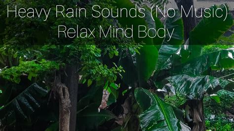 Fall Asleep Fastly Within 3 Minutes With Rain Sound • Natural Sound