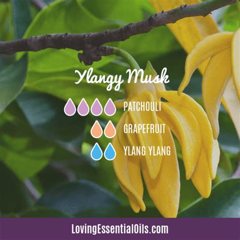 10 Benefits Of Ylang Ylang Essential Oil Artofit