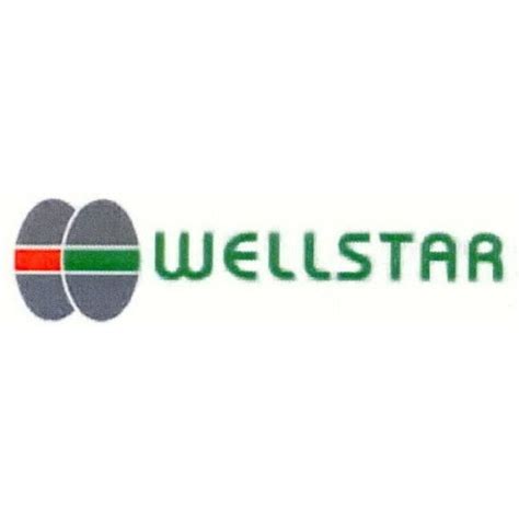 WELLSTAR Trademark of WELLSTAR MOTOR INDUSTRIAL CORP. - Registration Number 3128535 - Serial ...