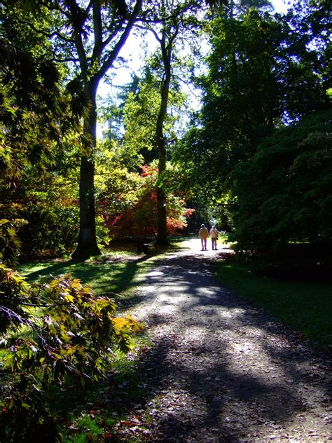 PHOTOS2PLEASEU: WESTONBIRT ARBORETUM