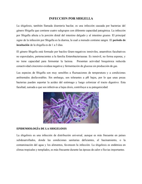 Infeccion Por Shigella Infeccion Por Shigella La Shigelosis Tambi N