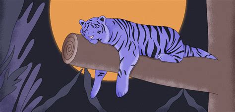 Tiger Dream Meanings DreamApp