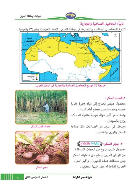 قصب السكر جمعة صالح المحاصيل الزراعية خيرات في أرضنا الدراسات