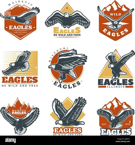 Colored Vintage Beautiful Eagles Labels Set With Inscriptions And Bird