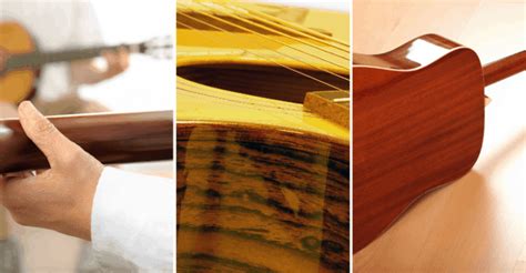 Guitar Tonewoods Guide Know Your Ash From Your Alder