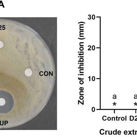 Disc Diffusion Assay Of Bcas Methanolic Crude Extracts 500 Mgml And