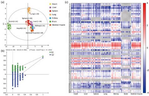 Molecules Free Full Text Sex Differences Of Cardiolipin In Tissue