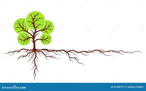 Tree Roots Logo Cartoon Vector | CartoonDealer.com #34346189