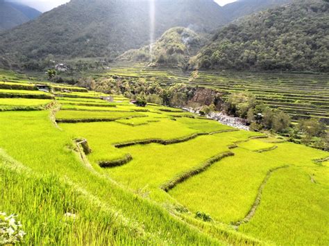 Hagdan-hagdang Palayan ng Banawe in Banaue