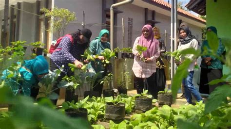 Dua Dusun Di Kota Banjar Ikuti Penilaian Kampung Iklim Klhk