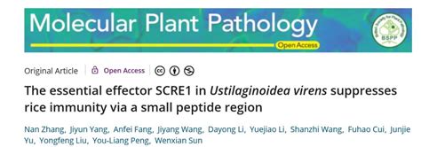 植物学领域最新进展 稻曲病菌与水稻免疫、矮牵牛脉明病毒与花斑、苹果中根皮苷的抗食作用 研究