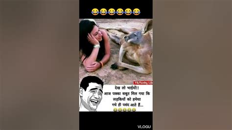 लड़कियों को गधे ही पसंद आते हैं Best Comedy Short Video Comedy Youtubeshorts Youtube