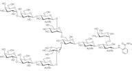 Gal Core Fucosylated N Glycan Ab Pmol Vial B G