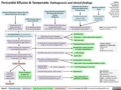 Pericardial Effusion And Tamponade Pathogenesis And Clinical Findings