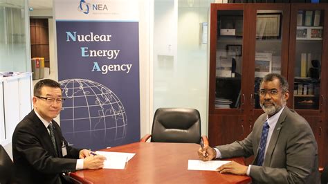 Nuclear Energy Agency Nea Central Research Institute Of Electric