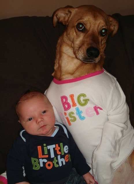 The 25 Funniest Photos Of Babies With Dogs