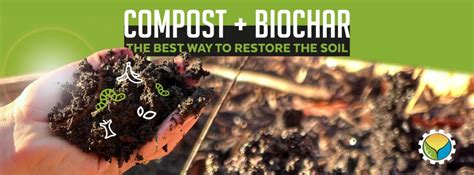 Compost Biochar The Best Way To Restore The Soil