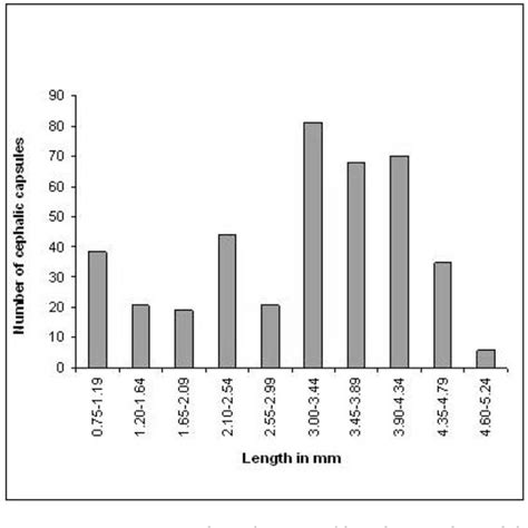 Figure 2 from Determination of the Life Cycle of Scyphophorus ...