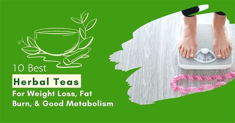 10 Best Herbal Teas For Weight Loss Fat Burn And Good Metabolism