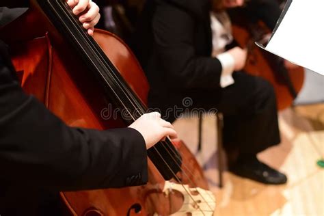 String Bass Double Bass Player In Orchestra Stock Image Image Of Violin Double 64191605