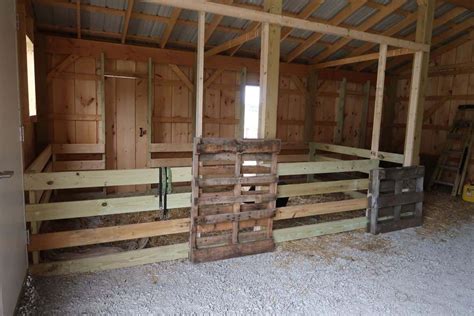 How To Build A Mini Pig Pen Using Pallets In Under 60 Minutes Pig Pen