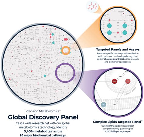 Targeted Vs Untargeted Metabolomics Metabolon