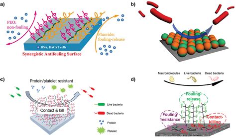 Recent Developments And Practical Feasibility Of Polymer‐based