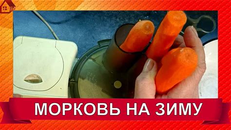 СУПЕР СПОСОБ ХРАНЕНИЯ МОРКОВИ! СВЕЖАЯ МОРКОВЬ ВСЮ ЗИМУ! БЕЗ ПОГРЕБА ...