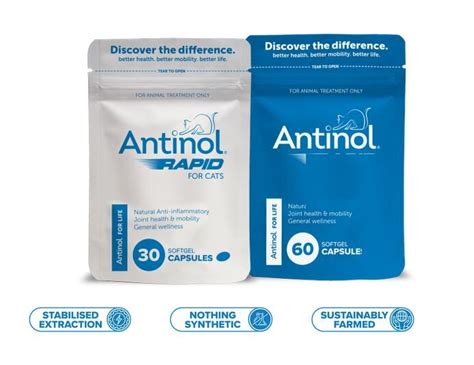 Antinol Rapid — Primal Paws