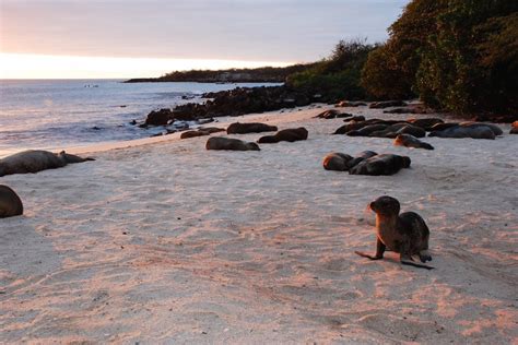 A Guide To Visiting The Galapagos On A Budget | We Are Travel Girls