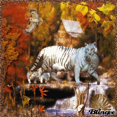 Tiger Glitter Animated GIF | White Tigers In Autumn for Blingee Art of ...