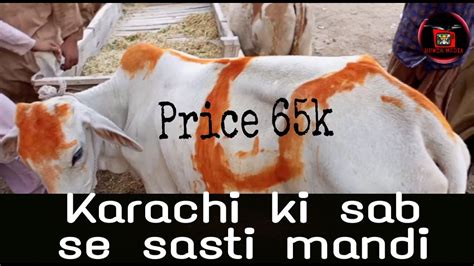 Surjani Mandi Karachi Karachi Ki Sab Se Sasti Mandi Munasib