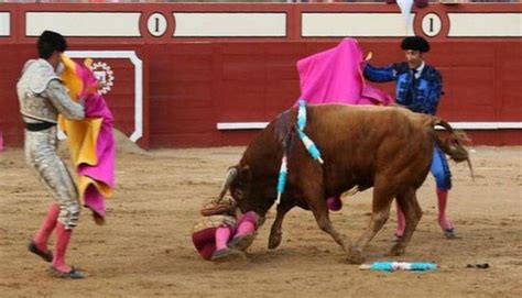 Imagens Fortes Touro Arranca Parte Do Couro Cabeludo De Toureiro Na