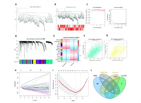 The Construction Of Wgcna Network Lasso Regression Analysis And