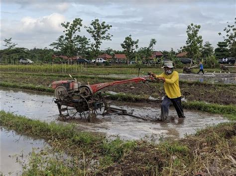 DKP Bantul Dorong Modernisasi Pertanian Di Bantul Berita Terkini Jawa