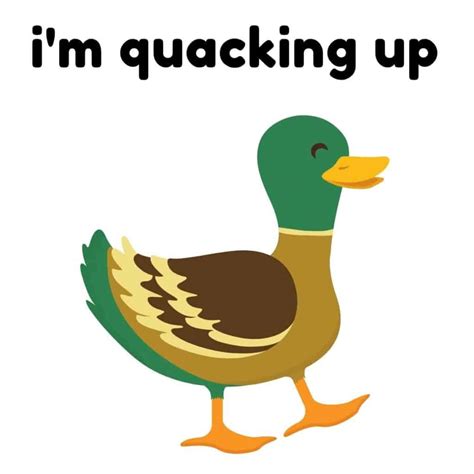 50+ Duck Puns That’ll Quack You Up - Box of Puns