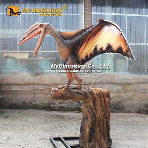 Realistic Flying Dinosaurs Animatronic Pterosaur Model For Sale In 2022