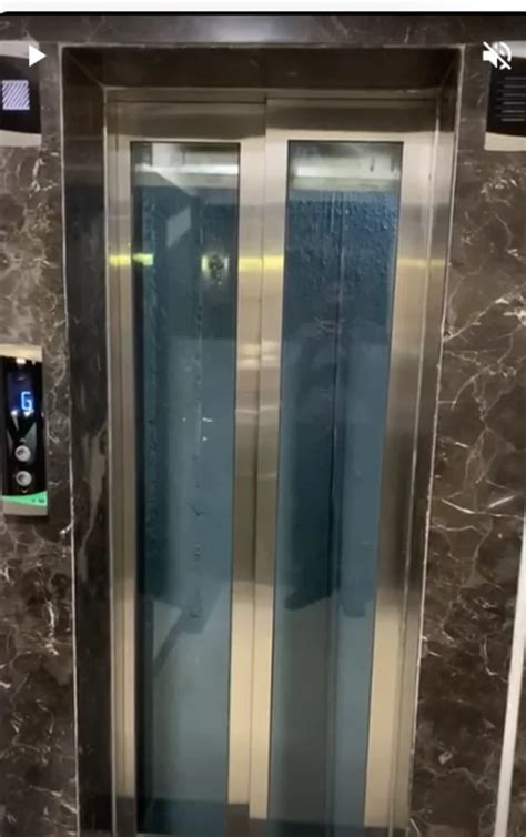 304 Stainless Steel Glass Passenger Elevator At Rs 725000 Stainless