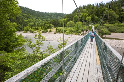 Fundy Trail Provincial Park Explorenb Tourism New Brunswick