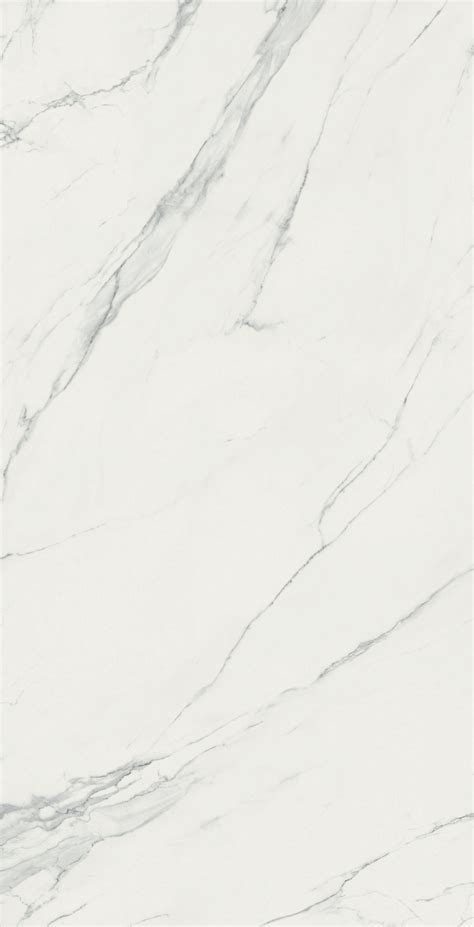 Calacatta Gris Euro Tile Stone Euro Tile Stone