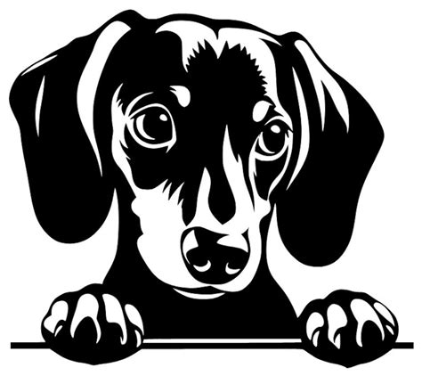 Dachshund Svg Vector Dxf Png Laser Screen Silhouette Unique