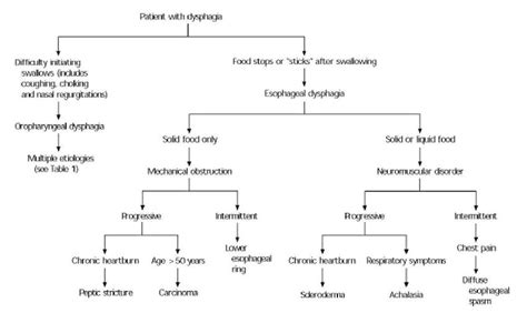 Types Of Dysphagia