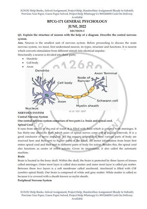 IGNOU BPCG 171 Previous Year Solved Question Paper June 2022 English