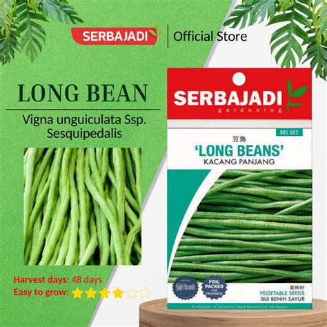 Serbajadi Vegetable Seed Long Bean Light Green Long Bean Creeping